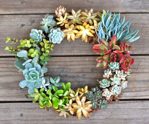 Summer Wreath - Succulents